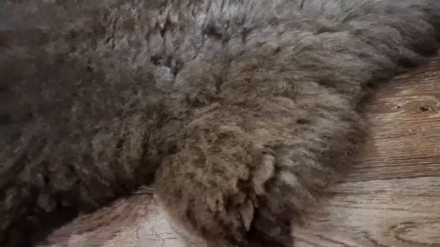 ОВЧИНА БУРО-ПЕПЕЛЬНАЯ (КОД :4155) смотреть онлайн