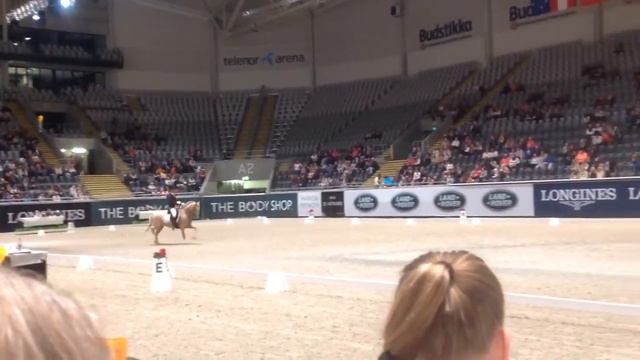 Karina og Trultes siste runde (ponni FEI kür) смотреть онлайн