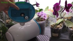 Необходимо для орхидей и полезно в быту. Увлажнитель воздуха.