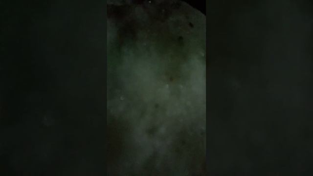 Отправитьделаю огромный снежок зимой, ой, то есть осенью.