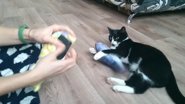 Интерактивная мягкая игрушка для кошек РЫБКА. Машет хвостом! смотреть онлайн