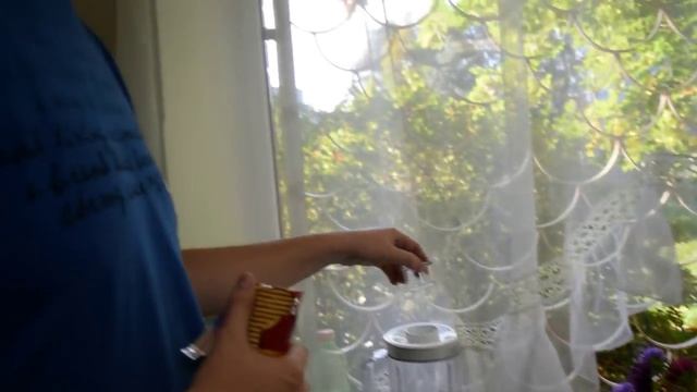 ДВА МЕСЯЦА В ЛАТВИИ. Очередной отчет о жизни студента BSM.