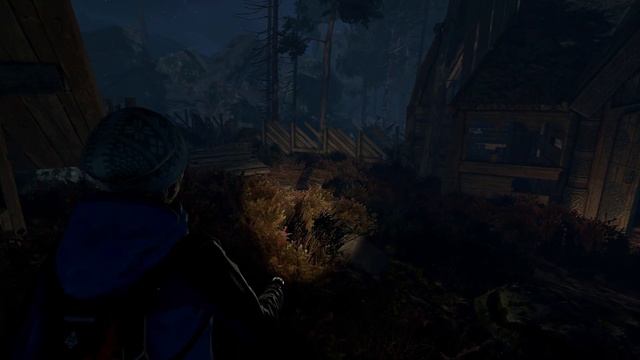 Through the Woods -3- ХУЛЬДРА [Прохождение на русском] смотреть онлайн