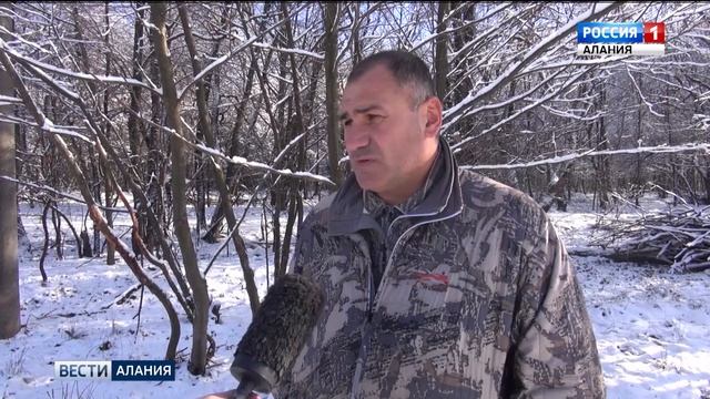 В Верхней Санибе выпустили 10 европейских благородных оленей смотреть онлайн