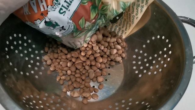 Живой мох СФАГНУМ: выращиваем дома, используем для орхидей и реанимашек