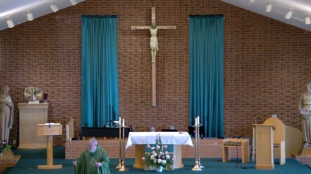 11/05/23 10:00 AM Holy Mass: Thirty-first Sunday in Ordinary Time смотреть онлайн