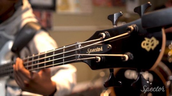 Spector Performer 4 / featuring Lil Asmar