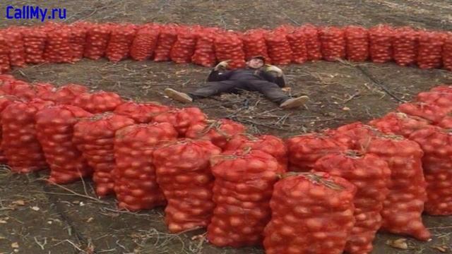 Романтик с сельской местности - розыгрыш Александре смотреть онлайн