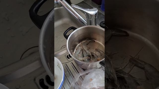 Готовим на завтрак креветки(Garnelen).Не ну а шо. смотреть онлайн
