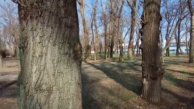 установка загродительной сетки для листьев смотреть онлайн