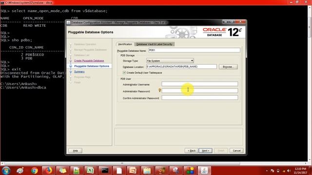 Create pluggable database using DBCA-Oracle 12C Administration смотреть онлайн