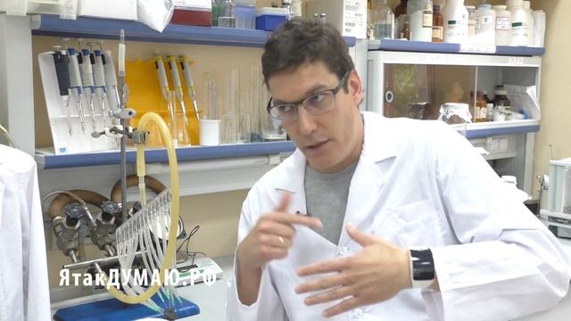 Как делают антибиотики - микробиолог Андрей Шестаков #ЯтакДУМАЮ Сеня Кайнов Seny Kaynov #SENYKAY смотреть онлайн