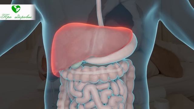 Пила по 2 чашки КАРКАДЕ в день и вот что произошло с моим телом... смотреть онлайн