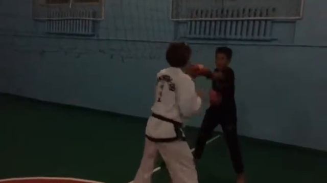 Беркут смотреть онлайн