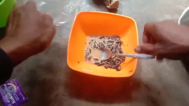 Umpan jitu ikan lele racikan jangkrik cemek - cemek murah dan simple || LANGSUNG TES!!! смотреть онлайн