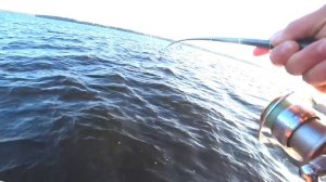 ЛОВЛЯ СУДАКА НА СПИННИНГ!!! ДЖИГ ИЛИ РАТЛИН??? НА ЧТО ЛОВИТЬ СУДАКА ЛЕТОМ???