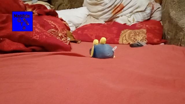 Страшная мышь 1 я серия смотреть онлайн