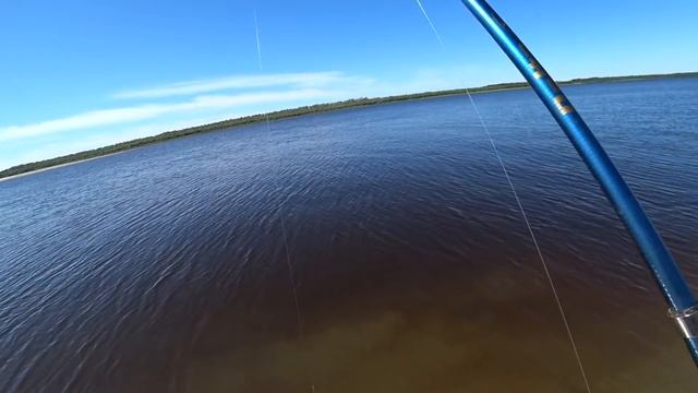 ОКУНЬ АТАКУЕТ!!! ДЕТИ В ДЕЛЕ! рыбалка на окуней 2020 смотреть онлайн