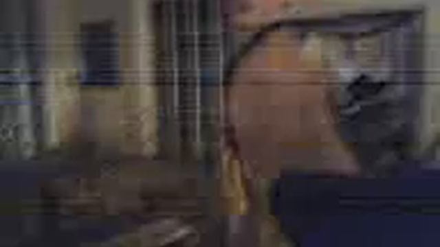 cams bongo смотреть онлайн