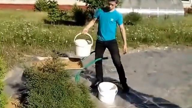 Восточный сад камней 2015г смотреть онлайн