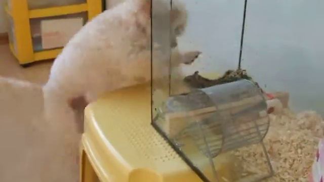 Живой интерес смотреть онлайн