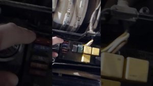 Не работает сигнал Mercedes-Benz w210