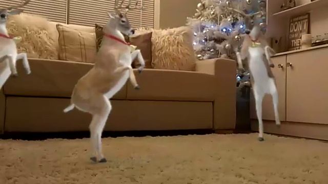 Reindeers dancing in my house at Christmas смотреть онлайн