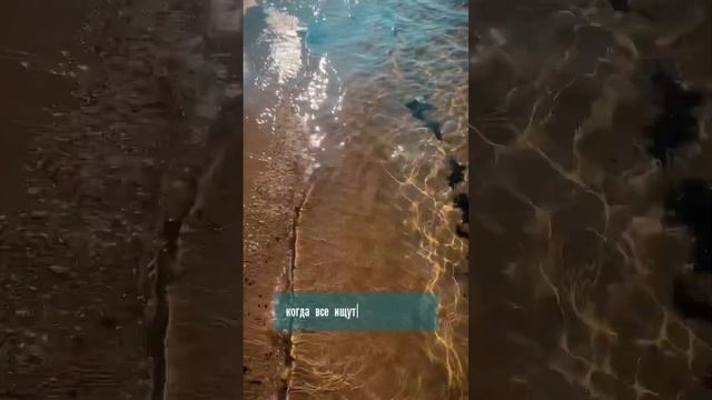 Черное море? смотреть онлайн