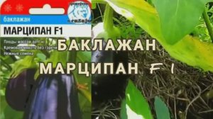 Баклажан Марципан f1