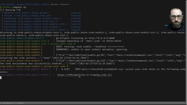zrok Use Cases: Public Sharing Using Docker смотреть онлайн