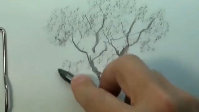 Как научиться рисовать для начинающих смотреть онлайн