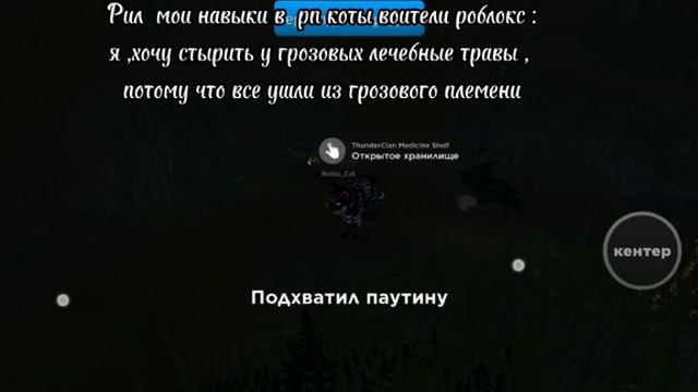 #котывоители #роблокс чисто я в любой рп в котах воителях роблокс :_)👍 ( видео 2 админа) смотреть онлайн
