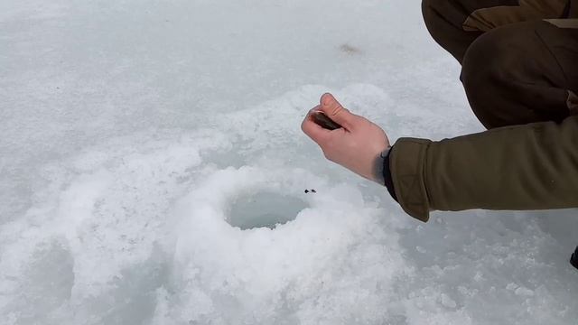 Рыбалка на лесном озере. Клёв плотвы,окуня. Похоже ,что закрытие сезона. смотреть онлайн