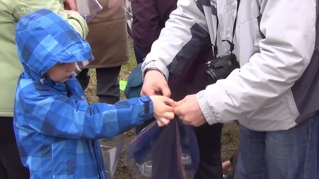 ChgTown.Ru: в Черноголовке борются с короедом-типографом смотреть онлайн