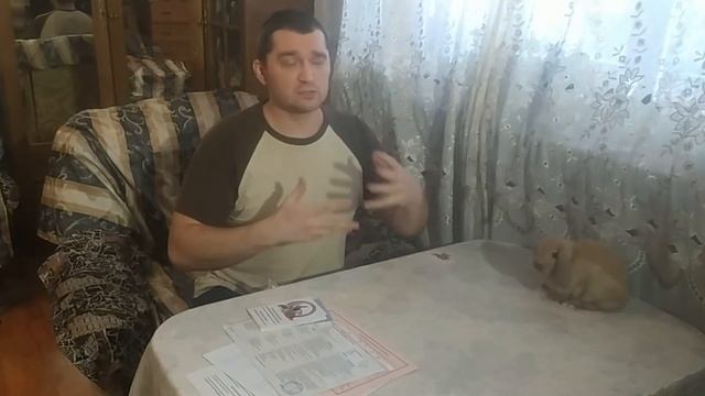 Какие документы нужны кролику? смотреть онлайн