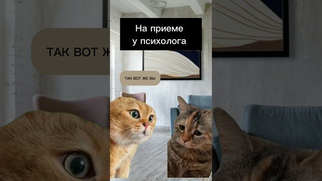 психология, мотивация, саморазвитие смотреть онлайн
