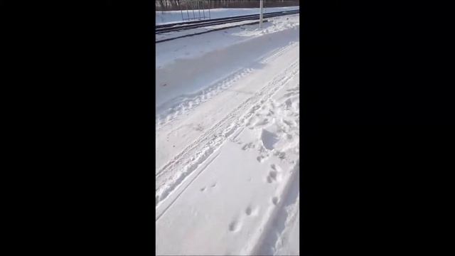 Заброшенный вокзал недалеко от посёлка Новостройка смотреть онлайн