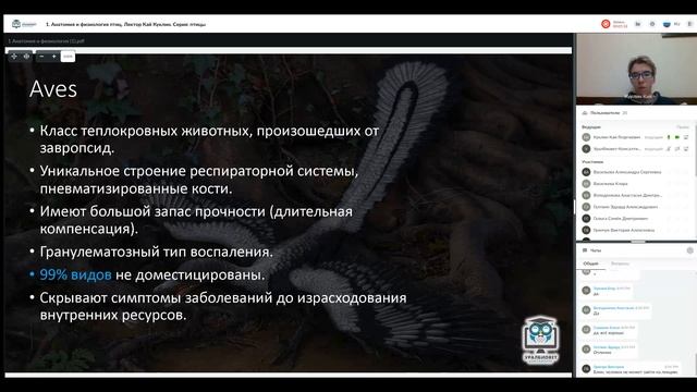 Фрагмент вебинара "Анатомия и физиология птиц" с Каем Куклиным смотреть онлайн