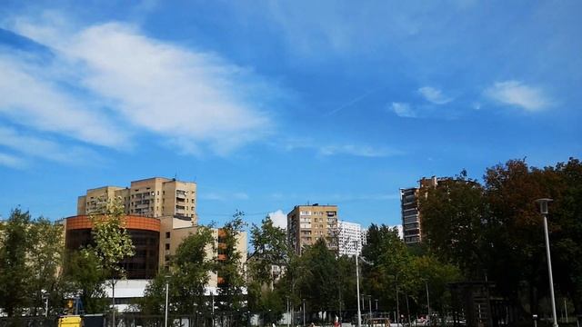 Выпуск стрижей. смотреть онлайн