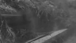 Поздно. Шабаш, хлопцы. Максим Перепелица.