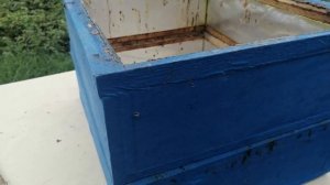 Инновационный улей, который использую в своем пчеловождении ( улей Кузьменко Л.М.)