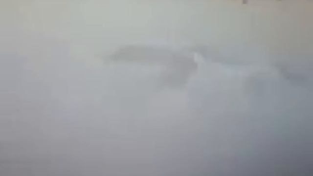 Audi R8 Drift / Burnout смотреть онлайн