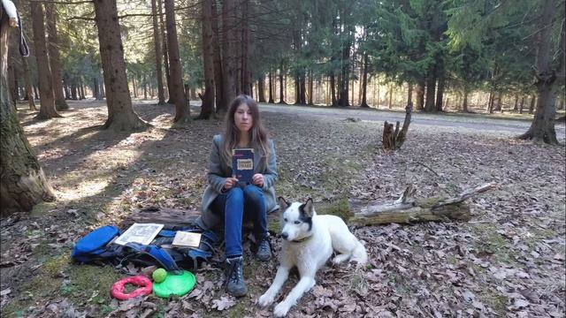 "Книжный дозор" Елизавета Горожанкина "Дом Хаски" смотреть онлайн