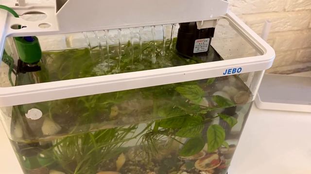 Мелани и Аквариум | Выбираем рыбок | Заливаем воду и смотрим) смотреть онлайн