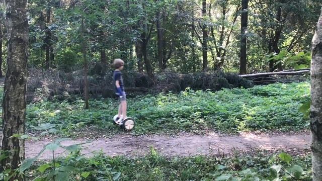 На гироскутере Segway NineBot Mini Pro по лесу и бездорожью! Мини-обзор НайнБот Мини Про смотреть онлайн