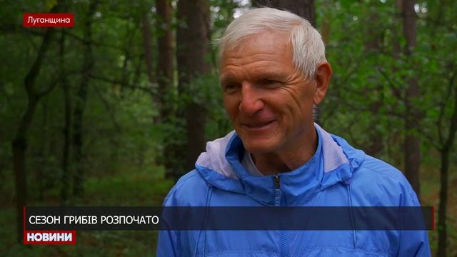 Сезон грибів розпочато смотреть онлайн