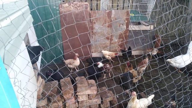 Вечер без дождя смотреть онлайн