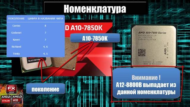 Выбор процессора от AMD: линейки и маркировка смотреть онлайн