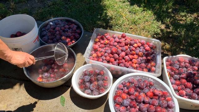 Мастерство и Талантливое Творение