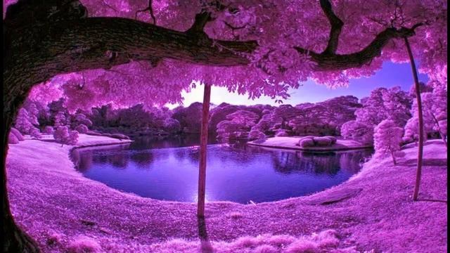 Курс чудес онлайн. Кеннет Уопник. Урок 122. Прощение предлагает всё, чего я желаю смотреть онлайн